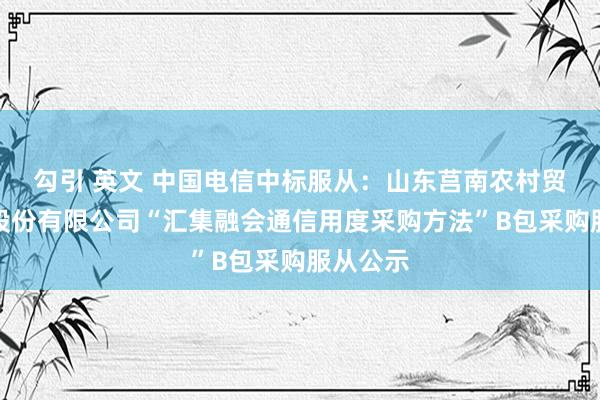 勾引 英文 中国电信中标服从：山东莒南农村贸易银行股份有限公司“汇集融会通信用度采购方法”B包采购服从公示