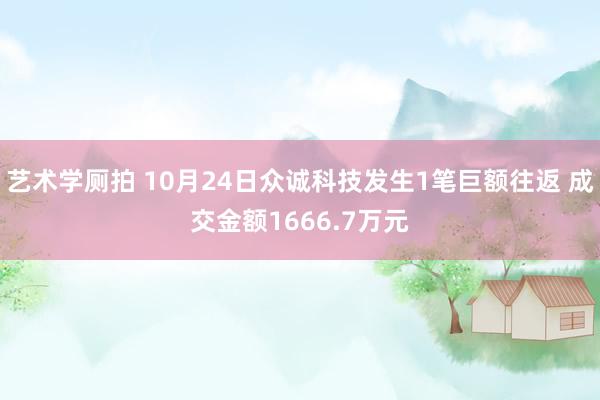 艺术学厕拍 10月24日众诚科技发生1笔巨额往返 成交金额1666.7万元