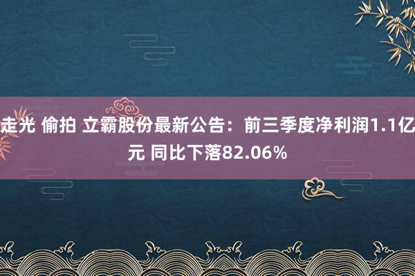 走光 偷拍 立霸股份最新公告：前三季度净利润1.1亿元 同比下落82.06%