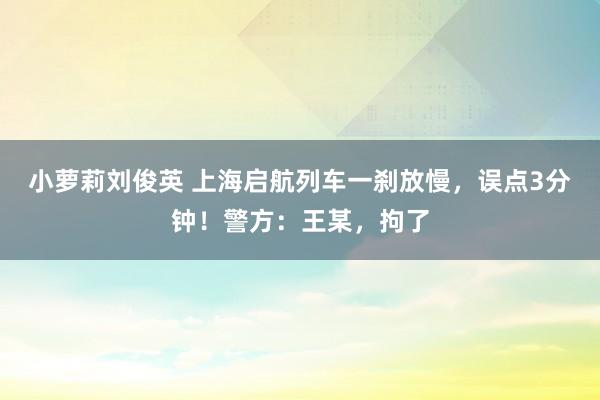 小萝莉刘俊英 上海启航列车一刹放慢，误点3分钟！警方：王某，拘了