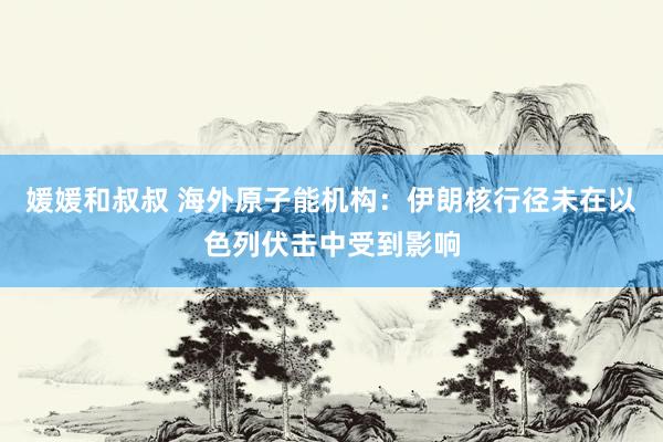 媛媛和叔叔 海外原子能机构：伊朗核行径未在以色列伏击中受到影响