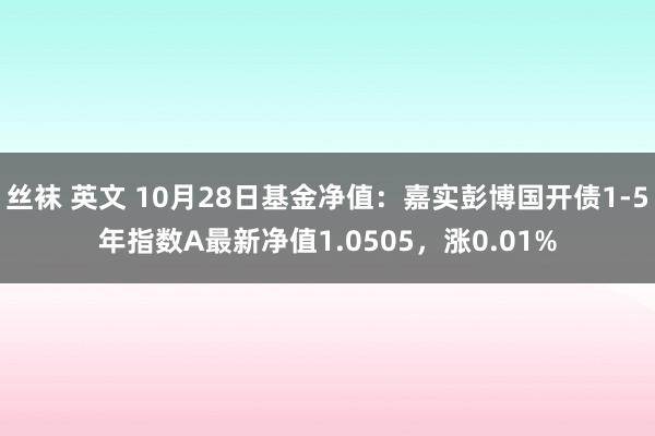 丝袜 英文 10月28日基金净值：嘉实彭博国开债1-5年指数A最新净值1.0505，涨0.01%