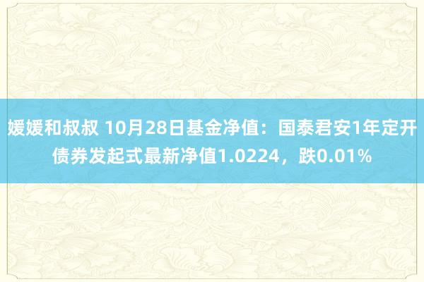 媛媛和叔叔 10月28日基金净值：国泰君安1年定开债券发起式最新净值1.0224，跌0.01%