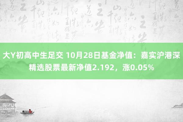 大Y初高中生足交 10月28日基金净值：嘉实沪港深精选股票最新净值2.192，涨0.05%