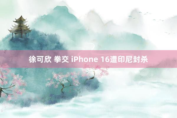 徐可欣 拳交 iPhone 16遭印尼封杀