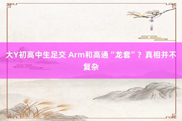 大Y初高中生足交 Arm和高通“龙套”？真相并不复杂