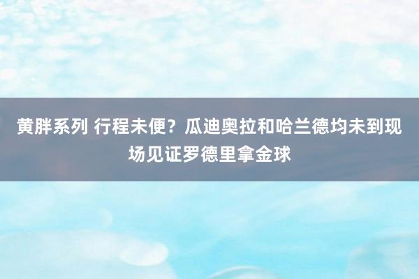 黄胖系列 行程未便？瓜迪奥拉和哈兰德均未到现场见证罗德里拿金球