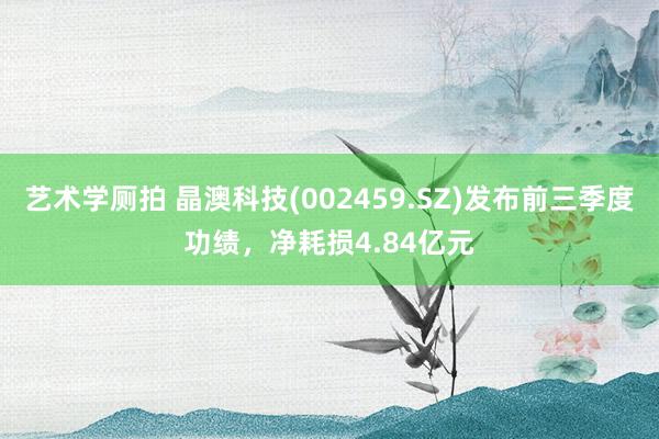 艺术学厕拍 晶澳科技(002459.SZ)发布前三季度功绩，净耗损4.84亿元