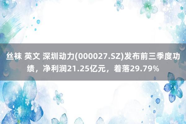 丝袜 英文 深圳动力(000027.SZ)发布前三季度功绩，净利润21.25亿元，着落29.79%