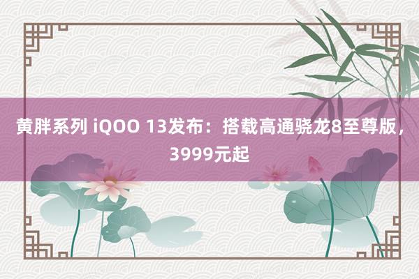 黄胖系列 iQOO 13发布：搭载高通骁龙8至尊版，3999元起