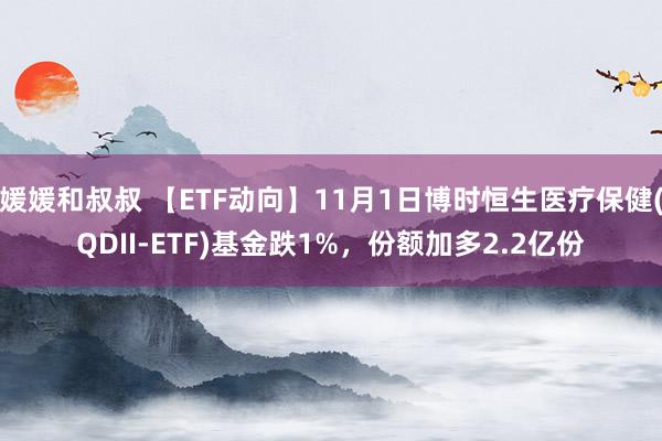 媛媛和叔叔 【ETF动向】11月1日博时恒生医疗保健(QDII-ETF)基金跌1%，份额加多2.2亿份