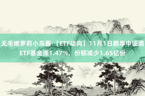 无毛嫩萝莉小鸟酱 【ETF动向】11月1日鹏华中证酒ETF基金涨1.47%，份额减少1.65亿份