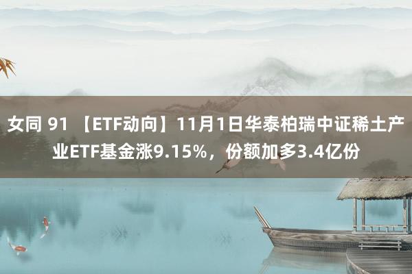 女同 91 【ETF动向】11月1日华泰柏瑞中证稀土产业ETF基金涨9.15%，份额加多3.4亿份