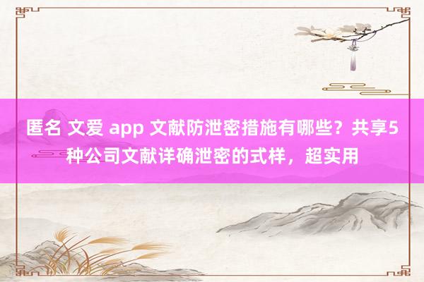 匿名 文爱 app 文献防泄密措施有哪些？共享5种公司文献详确泄密的式样，超实用