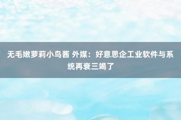 无毛嫩萝莉小鸟酱 外媒：好意思企工业软件与系统再衰三竭了