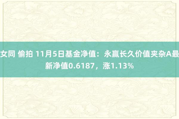 女同 偷拍 11月5日基金净值：永赢长久价值夹杂A最新净值0.6187，涨1.13%