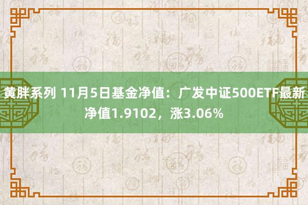 黄胖系列 11月5日基金净值：广发中证500ETF最新净值1.9102，涨3.06%