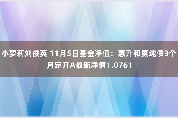 小萝莉刘俊英 11月5日基金净值：惠升和赢纯债3个月定开A最新净值1.0761