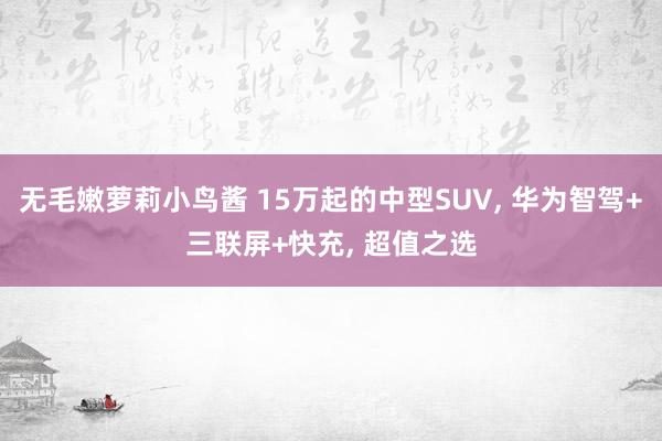 无毛嫩萝莉小鸟酱 15万起的中型SUV， 华为智驾+三联屏+快充， 超值之选