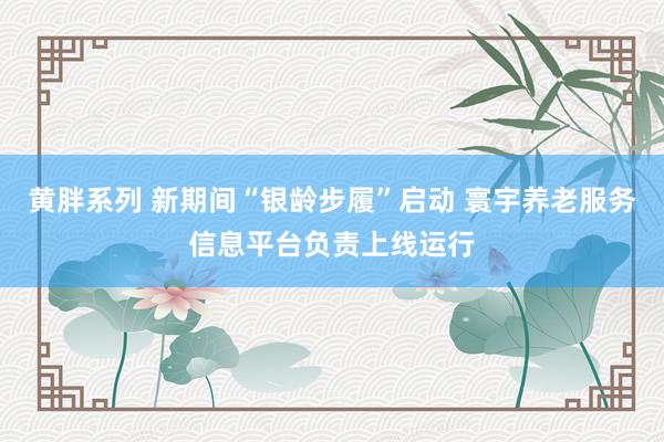 黄胖系列 新期间“银龄步履”启动 寰宇养老服务信息平台负责上线运行