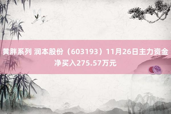 黄胖系列 润本股份（603193）11月26日主力资金净买入275.57万元