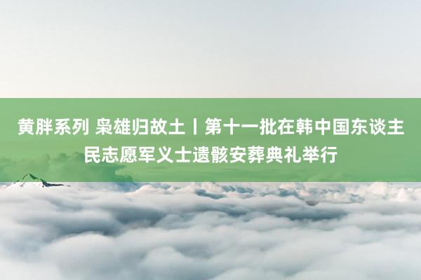 黄胖系列 枭雄归故土丨第十一批在韩中国东谈主民志愿军义士遗骸安葬典礼举行