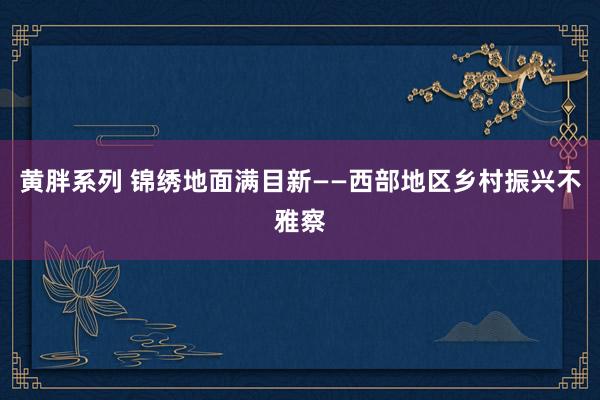 黄胖系列 锦绣地面满目新——西部地区乡村振兴不雅察