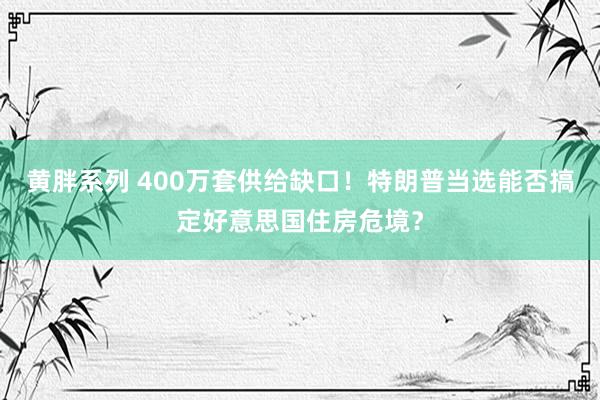 黄胖系列 400万套供给缺口！特朗普当选能否搞定好意思国住房危境？