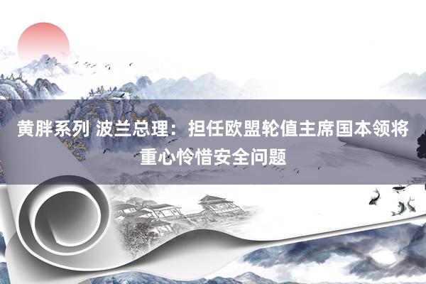 黄胖系列 波兰总理：担任欧盟轮值主席国本领将重心怜惜安全问题