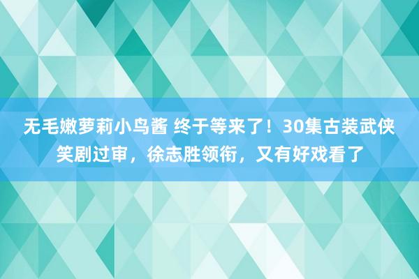 无毛嫩萝莉小鸟酱 终于等来了！30集古装武侠笑剧过审，徐志胜领衔，又有好戏看了