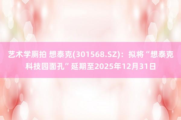 艺术学厕拍 想泰克(301568.SZ)：拟将“想泰克科技园面孔”延期至2025年12月31日