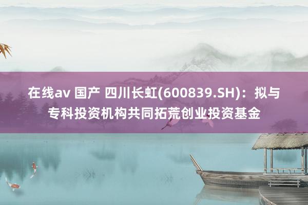 在线av 国产 四川长虹(600839.SH)：拟与专科投资机构共同拓荒创业投资基金