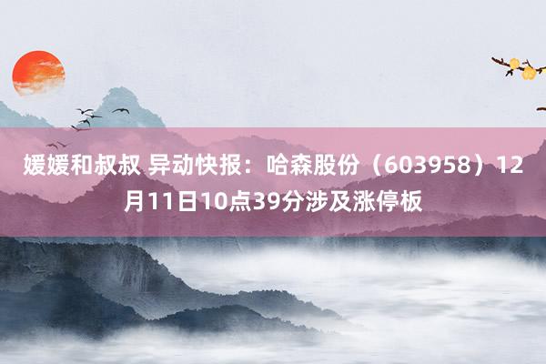 媛媛和叔叔 异动快报：哈森股份（603958）12月11日10点39分涉及涨停板