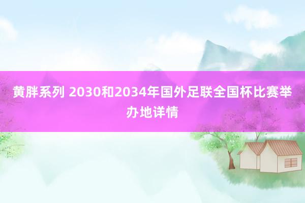 黄胖系列 2030和2034年国外足联全国杯比赛举办地详情