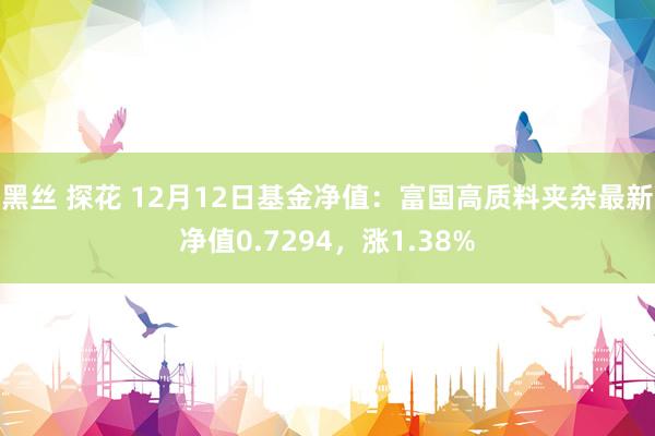 黑丝 探花 12月12日基金净值：富国高质料夹杂最新净值0.7294，涨1.38%