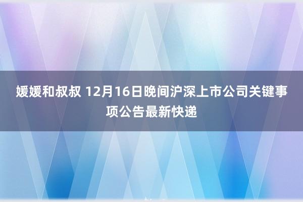 媛媛和叔叔 12月16日晚间沪深上市公司关键事项公告最新快递