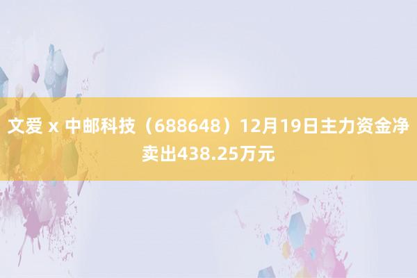 文爱 x 中邮科技（688648）12月19日主力资金净卖出438.25万元