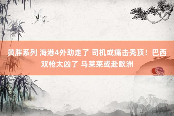 黄胖系列 海港4外助走了 司机或痛击秃顶！巴西双枪太凶了 马莱莱或赴欧洲