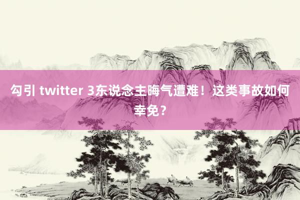 勾引 twitter 3东说念主晦气遭难！这类事故如何幸免？