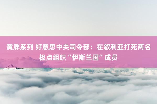 黄胖系列 好意思中央司令部：在叙利亚打死两名极点组织“伊斯兰国”成员