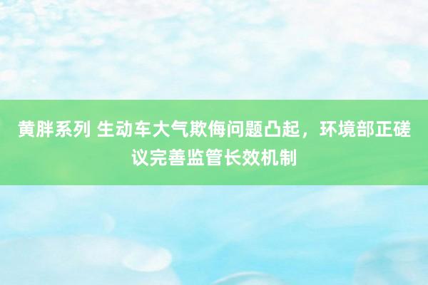 黄胖系列 生动车大气欺侮问题凸起，环境部正磋议完善监管长效机制