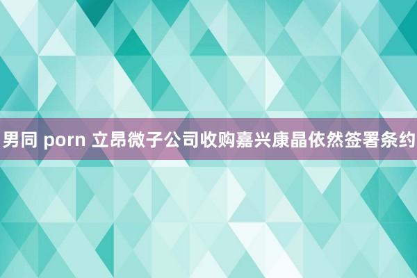 男同 porn 立昂微子公司收购嘉兴康晶依然签署条约