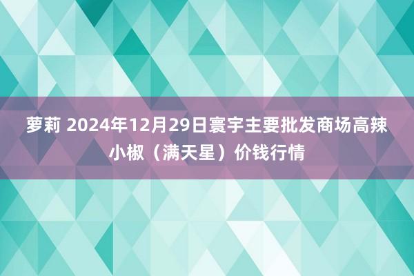 萝莉 2024年12月29日寰宇主要批发商场高辣小椒（满天星）价钱行情