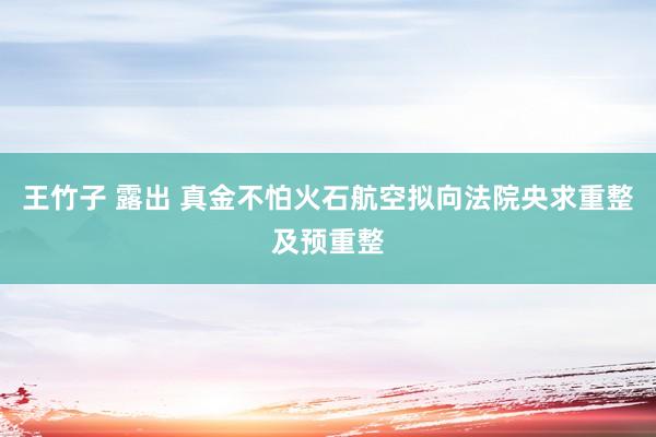 王竹子 露出 真金不怕火石航空拟向法院央求重整及预重整