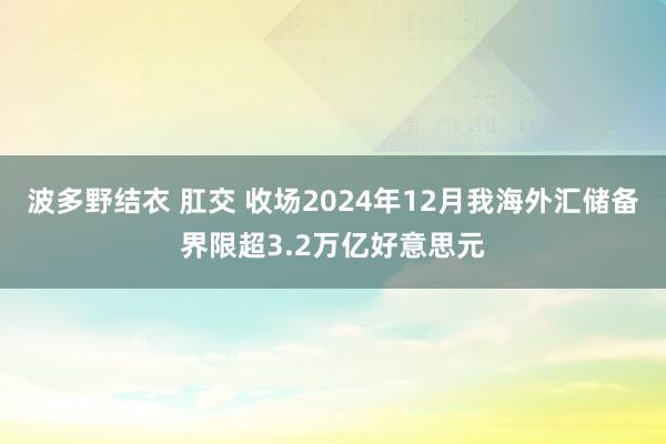 波多野结衣 肛交 收场2024年12月我海外汇储备界限超3.2万亿好意思元