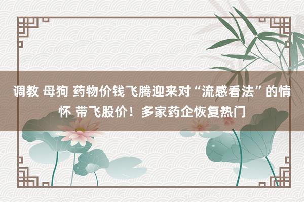 调教 母狗 药物价钱飞腾迎来对“流感看法”的情怀 带飞股价！多家药企恢复热门