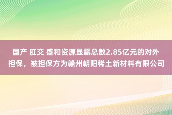 国产 肛交 盛和资源显露总数2.85亿元的对外担保，被担保方为赣州朝阳稀土新材料有限公司