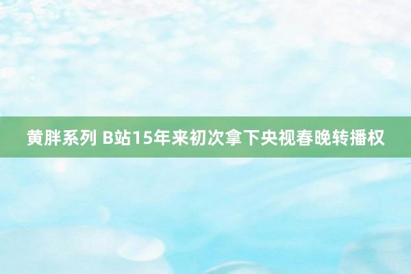 黄胖系列 B站15年来初次拿下央视春晚转播权