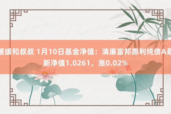 媛媛和叔叔 1月10日基金净值：清廉富邦惠利纯债A最新净值1.0261，涨0.02%