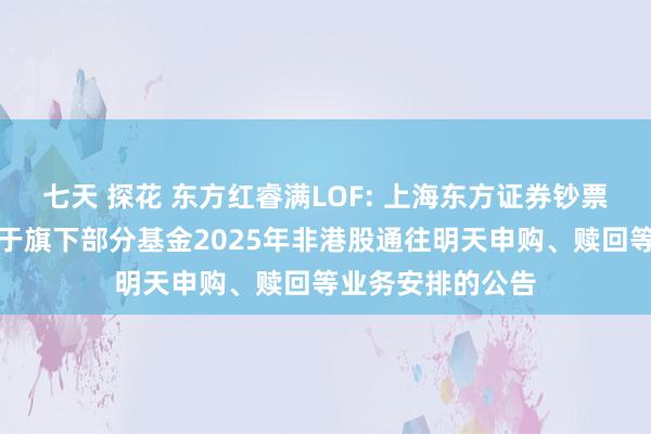 七天 探花 东方红睿满LOF: 上海东方证券钞票贬责有限公司对于旗下部分基金2025年非港股通往明天申购、赎回等业务安排的公告